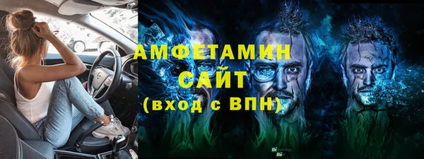 шишки Заводоуковск