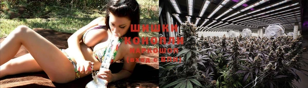 гидра Покров