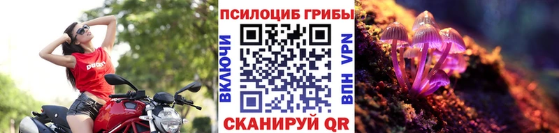 Псилоцибиновые грибы Psilocybe  omg рабочий сайт  Аксай 