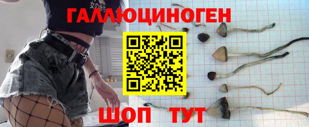 Аксай  Галлюциногенные грибы ЛСД  Вход с VPN 